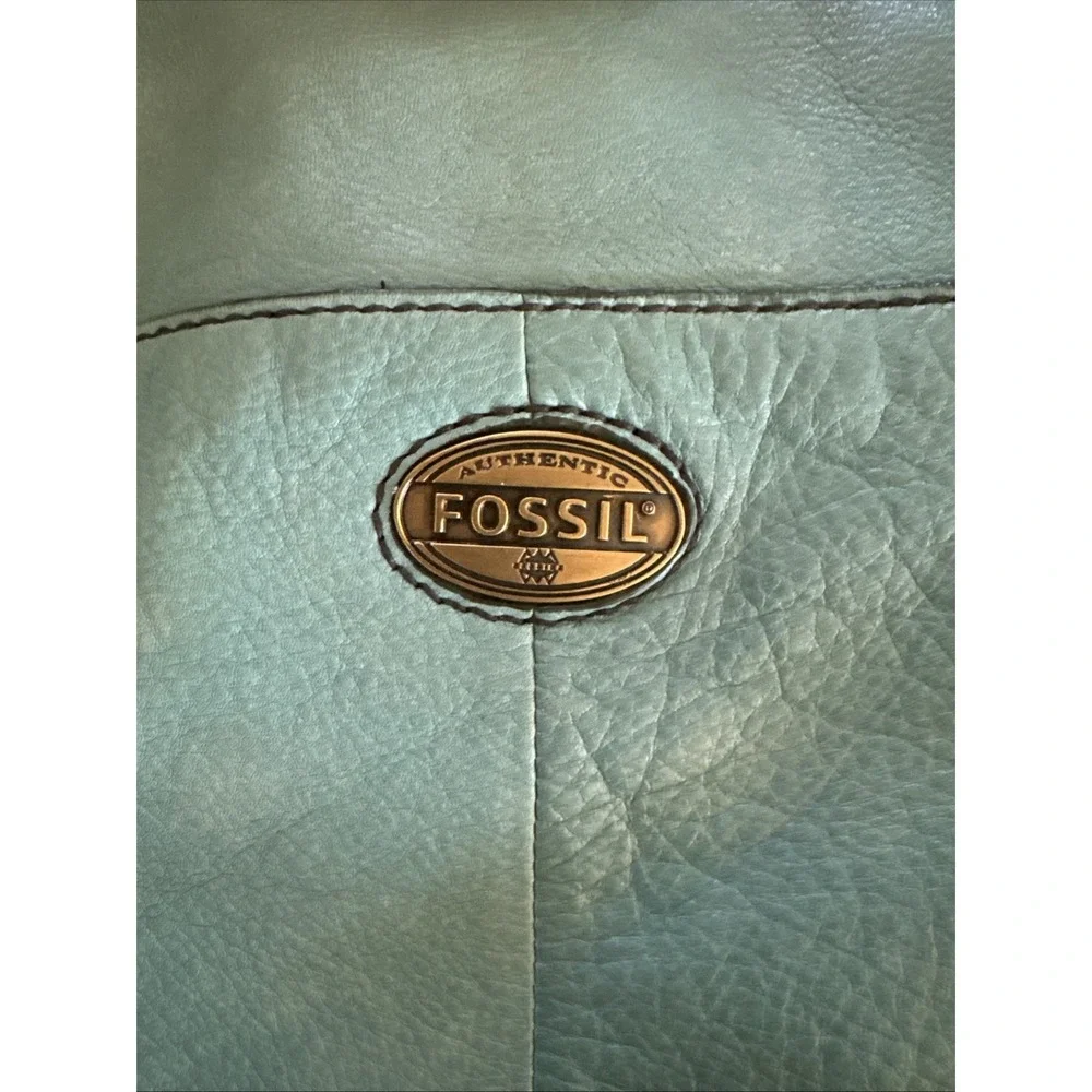 Fossil explorer large